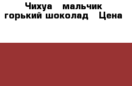 Чихуа - мальчик горький шоколад › Цена ­ 15 000 - Все города Животные и растения » Собаки   . Адыгея респ.